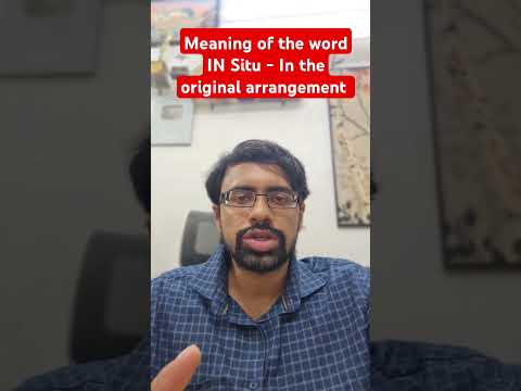 In Situ Meaning: Definition and Contextual Insights