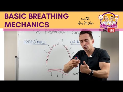 Respiratory Health: Understanding Breathing and Well-being