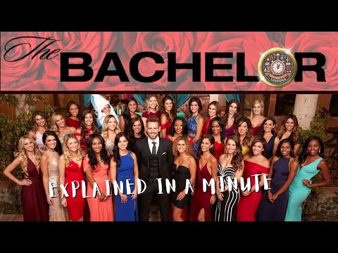 Bachelor Meaning: Definition and Context Explained