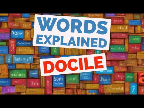Docile Meaning: Definition and Contextual Insights