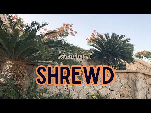 Shrewd Meaning: Definition and Psychological Implications