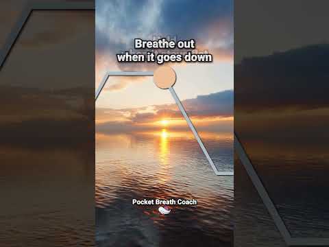 Deep Breathing for Panic Attacks: A Calming Solution