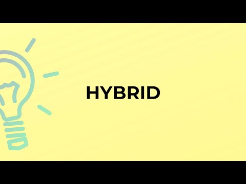 Hybrid Meaning: A Closer Look at Its Definition and Usage