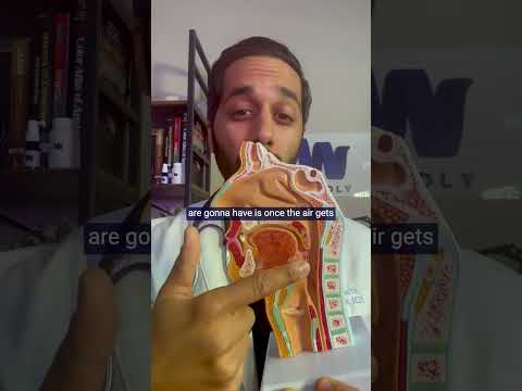 Understanding Difficulty Breathing and Its Causes