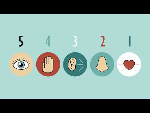 Grounding Techniques for Emotional Regulation and Stability