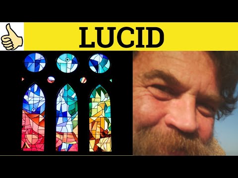 Defining Lucid Meaning in Everyday Contexts