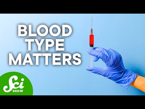 Blood Type and Personality: What Your Blood Says About You