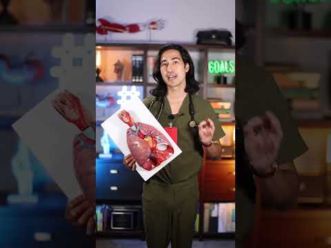 Effective Treatments for Pneumonia: Options and Recovery