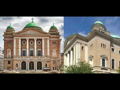 Adonitology: Insights into the Study of Adonitic Behavior