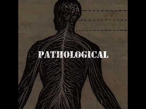 INTJ Personality Type: Characteristics and Insights