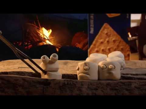 Understanding the Meaning of Martyr in Society and Culture