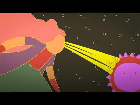 Enhancing Your Immune System for Better Health