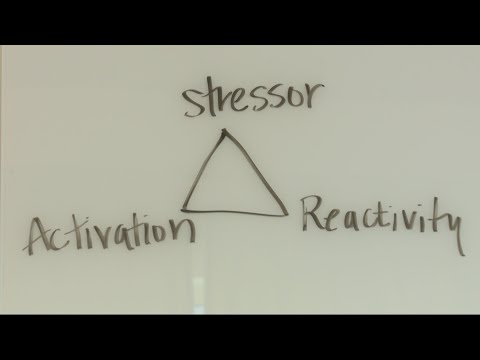 Mindfulness MBSR: Techniques for Stress Reduction and Wellbeing