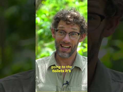 Dysentery Disease: Causes, Symptoms, and Treatments Explained