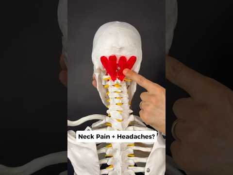 Pain in the Back of the Head: Causes and Solutions