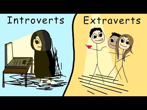 Extroverted Introvert Meaning: Traits and Characteristics Explained