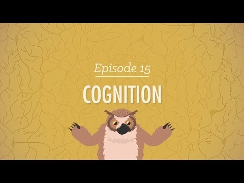 Define Cognition: Understanding Mental Processes and Functions