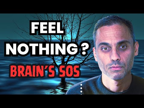 Understanding Anhedonia: Signs, Causes, and Effects