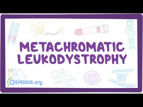 Leukodystrophy: Understanding Its Causes and Effects