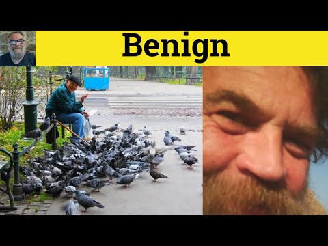 The Meaning of Benign: Definition and Context Explained