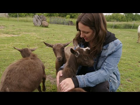 Nature Therapy: Healing Through Connection with the Outdoors