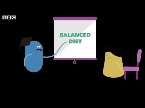 Achieving a Healthy Life Through Balanced Choices