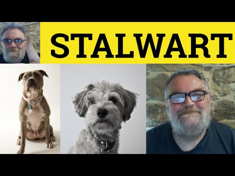 Stalwart Meaning: Definition and Usage Explained