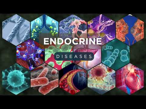Endocrine System Diseases: Causes, Symptoms, and Treatments
