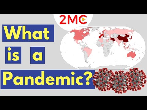 Epidemic Meaning: Definitions and Contexts Explored