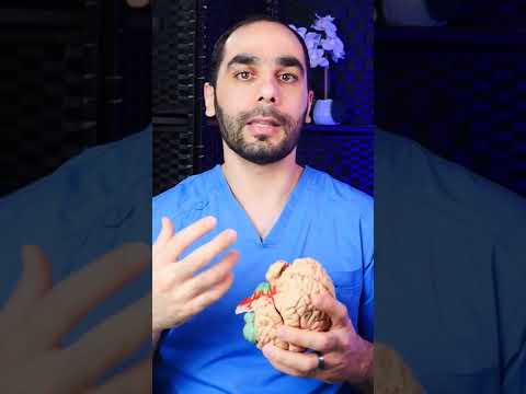 Key Factors Behind Seizure Causes and Triggers