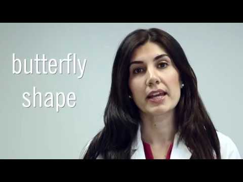 Hyperthyroidism Symptoms in Females: Key Signs to Recognize