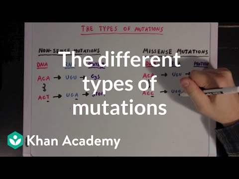 The Meaning of Mutation: Definitions and Implications