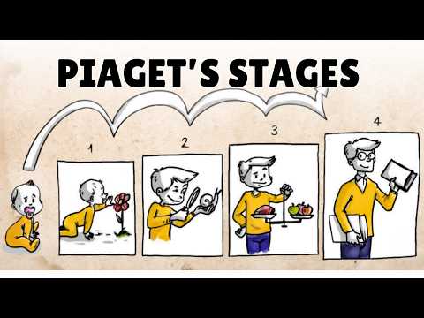 Jean Piaget and Cognitive Development: Key Concepts Explained