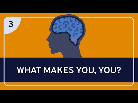 Independent Meaning: Its Role in Personal Identity and Choice