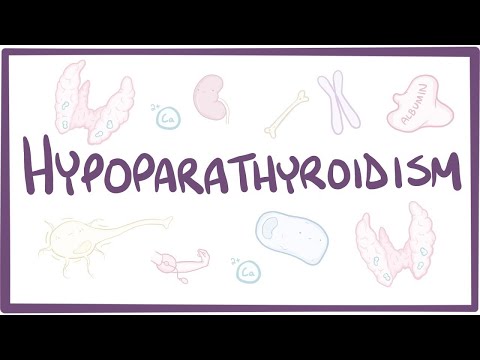 Hypoparathyroidism: Symptoms, Causes, and Treatment Options