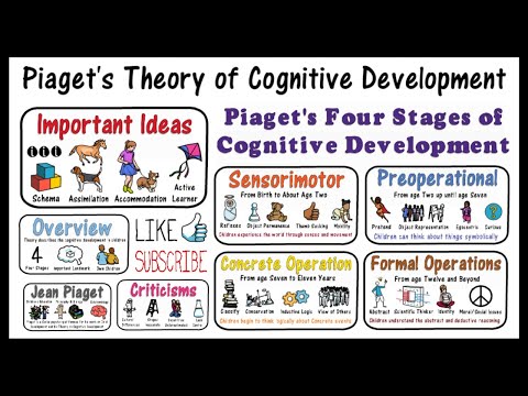 Cognitive Piaget: Key Concepts in Child Development Theory