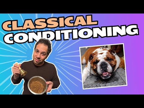 Pavlovian Conditioning: Principles and Applications