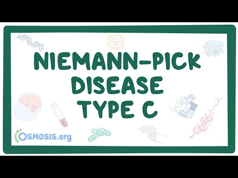 Niemann-Pick Disease: Causes, Symptoms, and Potential Treatments