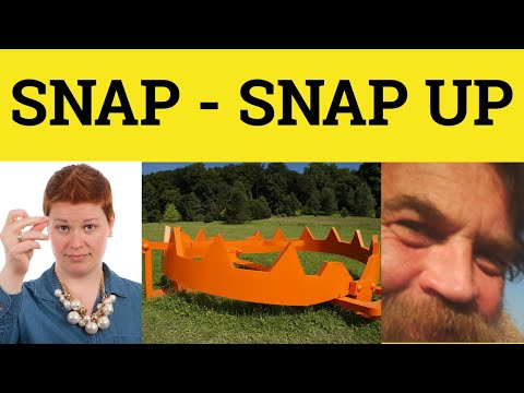 The True Meaning of Snap: Definitions and Contexts Explained