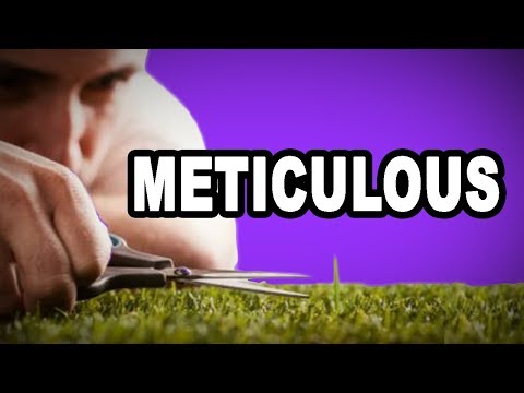 The Meaning of Meticulous: Precision and Attention to Detail