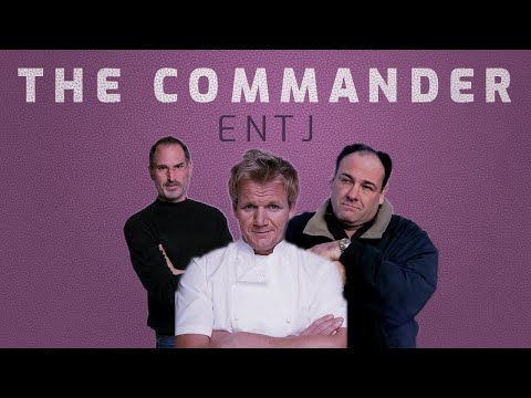 ENTJ Personality Profile: Key Traits and Characteristics