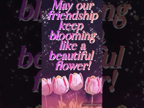 Happy Friendship Day Wishes to Celebrate Your Bonds