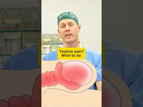 Left Testicle Pain: Causes, Symptoms, and Treatment Options