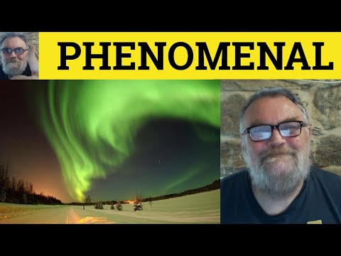 Defining Phenomenon Meaning: A Clear Explanation