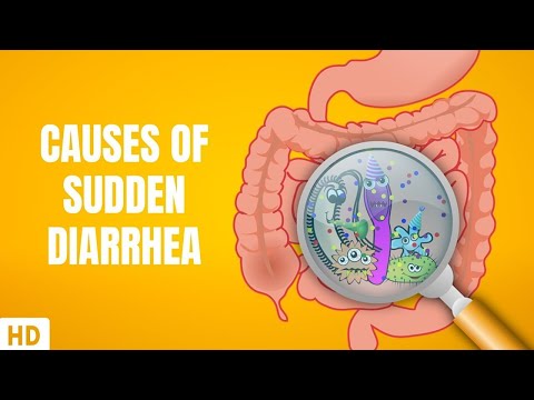 Sudden Watery Diarrhea: Causes, Symptoms, and Relief Options