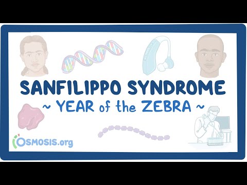 Sanfilippo Syndrome: Symptoms, Causes, and Treatment Insights