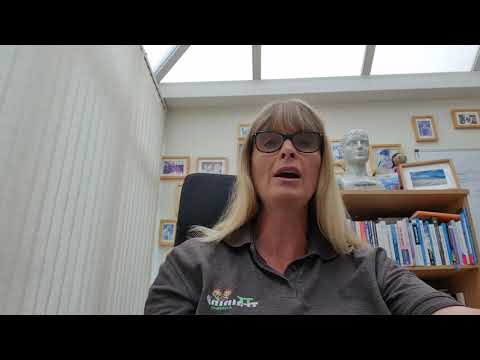 Providing Wellbeing: Strategies for a Healthier Life