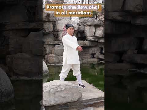 Tai Chi Meditation: Harmony of Mind and Body in Motion