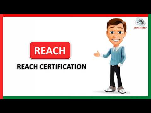 Everything You Need to Know About Reach Certification
