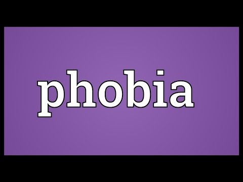 Phobia Meaning in English: Definition and Explanation